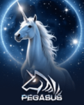 Moonlight Unicorn